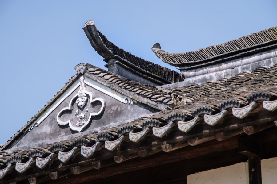 上海奉贤乡村改造 图片 3